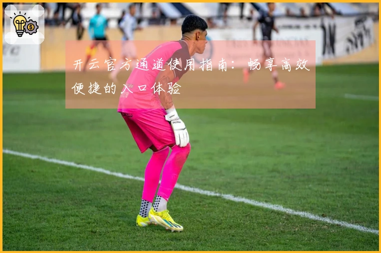 开云官方通道使用指南：畅享高效便捷的入口体验