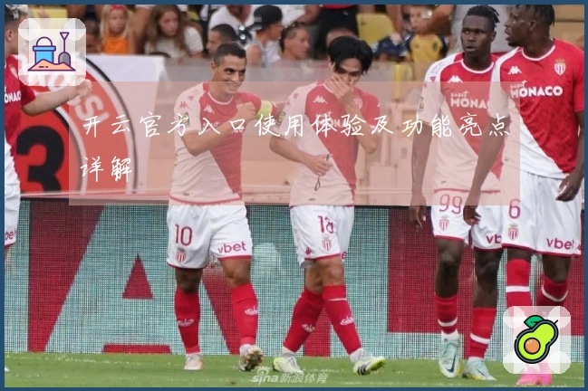 开云官方入口使用体验及功能亮点详解