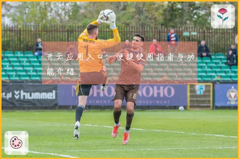 开云应用入口：便捷使用指南与功能介绍