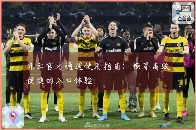 开云官方通道使用指南：畅享高效便捷的入口体验