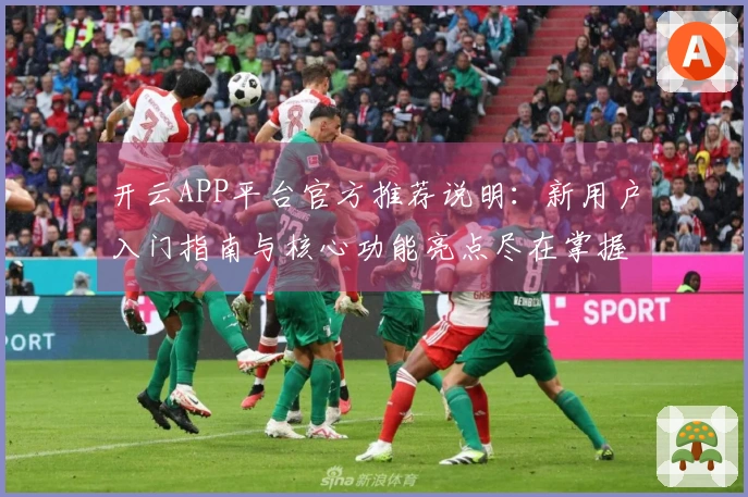 开云APP平台官方推荐说明：新用户入门指南与核心功能亮点尽在掌握