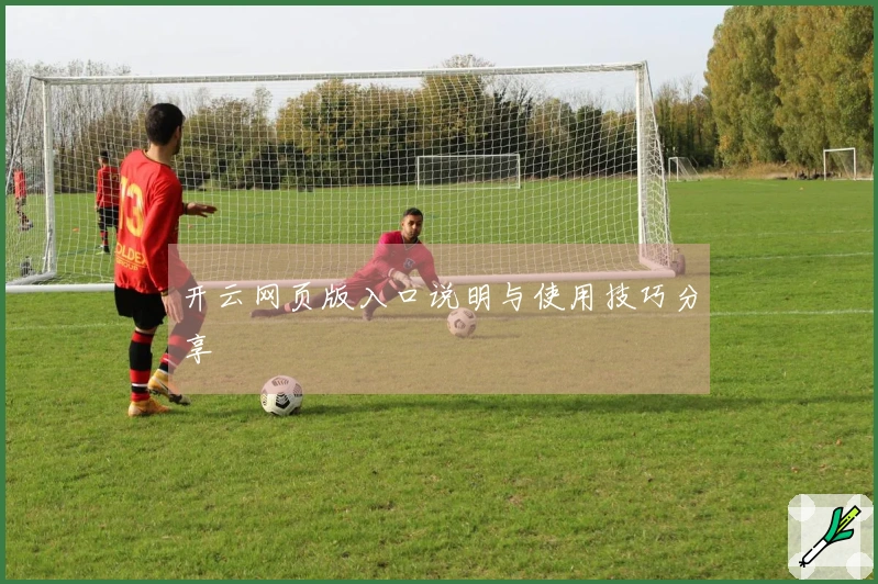 开云网页版入口说明与使用技巧分享